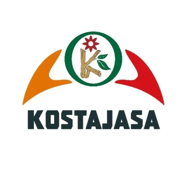Kostajasa
